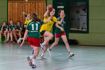 Bild 210 - C-Juniorinnen HSG Kremperheide/M�nsterdorf - SG Kollmar/Neuendorf